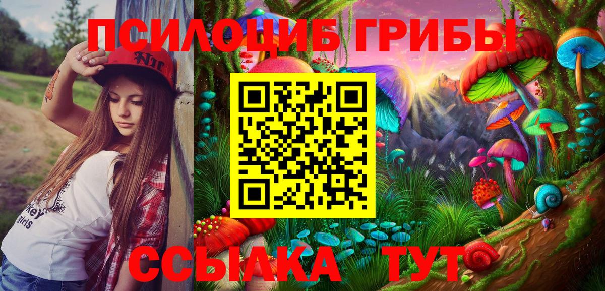 Обь  Псилоцибиновые грибы GOLDEN TEACHER  Вход с VPN 