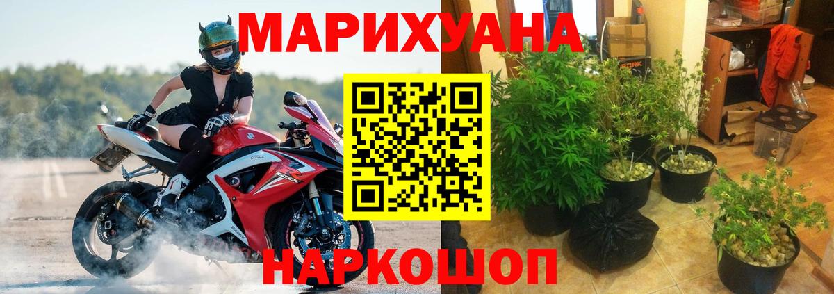 Конопля OG Kush Обь